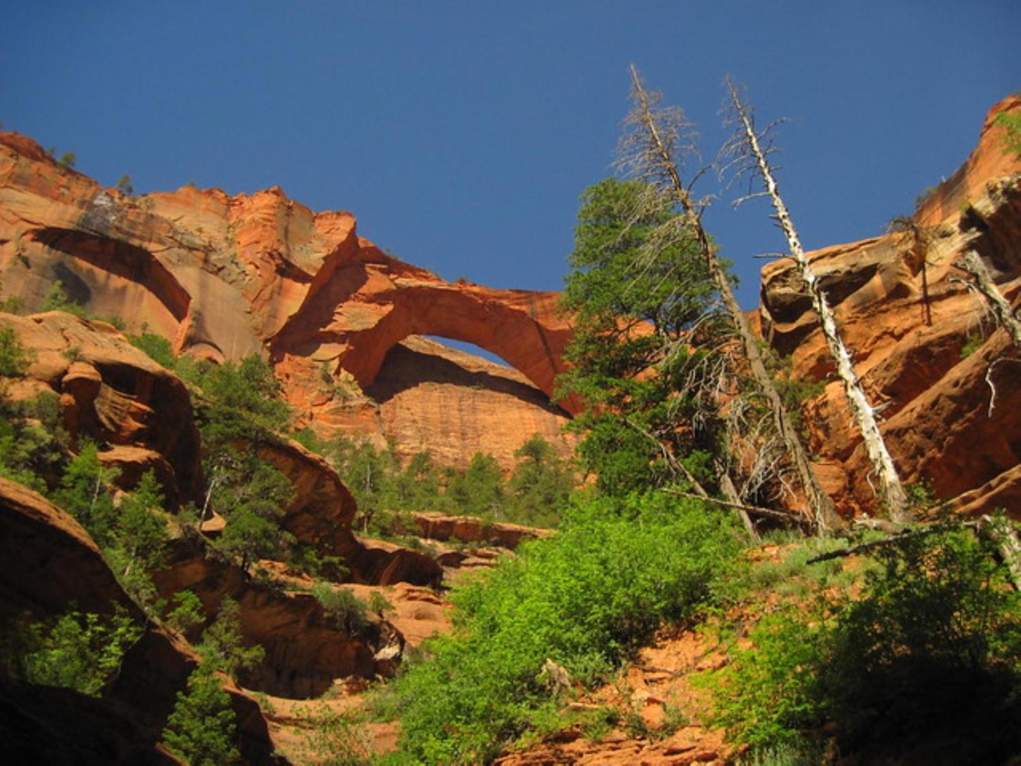 Holiday Inn La Verkin - Zion Park By Ihg Esterno foto